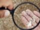 Источник: GettyImages-Microplastics